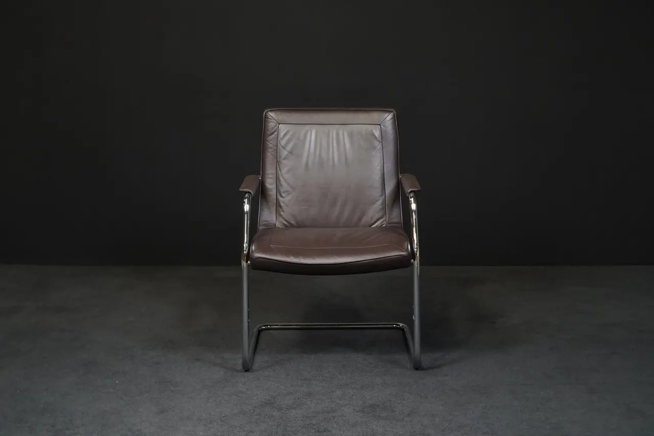 Walter Knoll Freischwinger Leder Braun — Bild 1