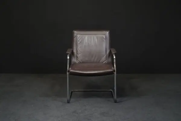 Walter Knoll Freischwinger Leder Braun