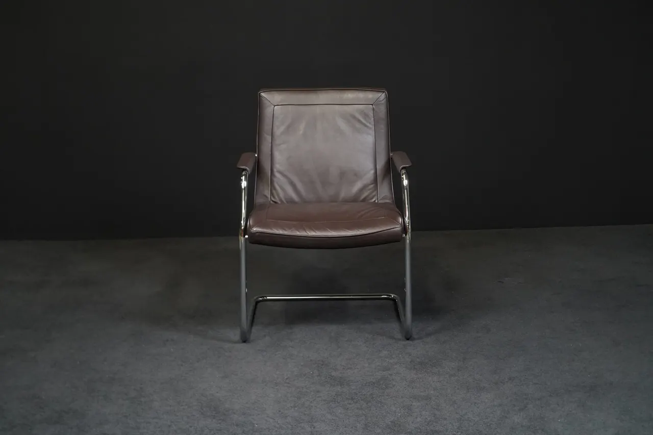 Walter Knoll Freischwinger Leder Braun — Bild 1