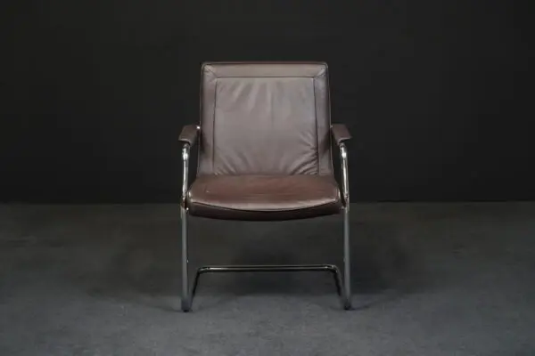 Walter Knoll Freischwinger Leder Braun