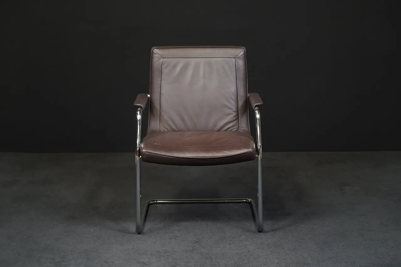 Walter Knoll Freischwinger Leder Braun — Bild 1