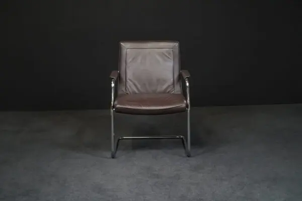 Walter Knoll Freischwinger Leder Braun